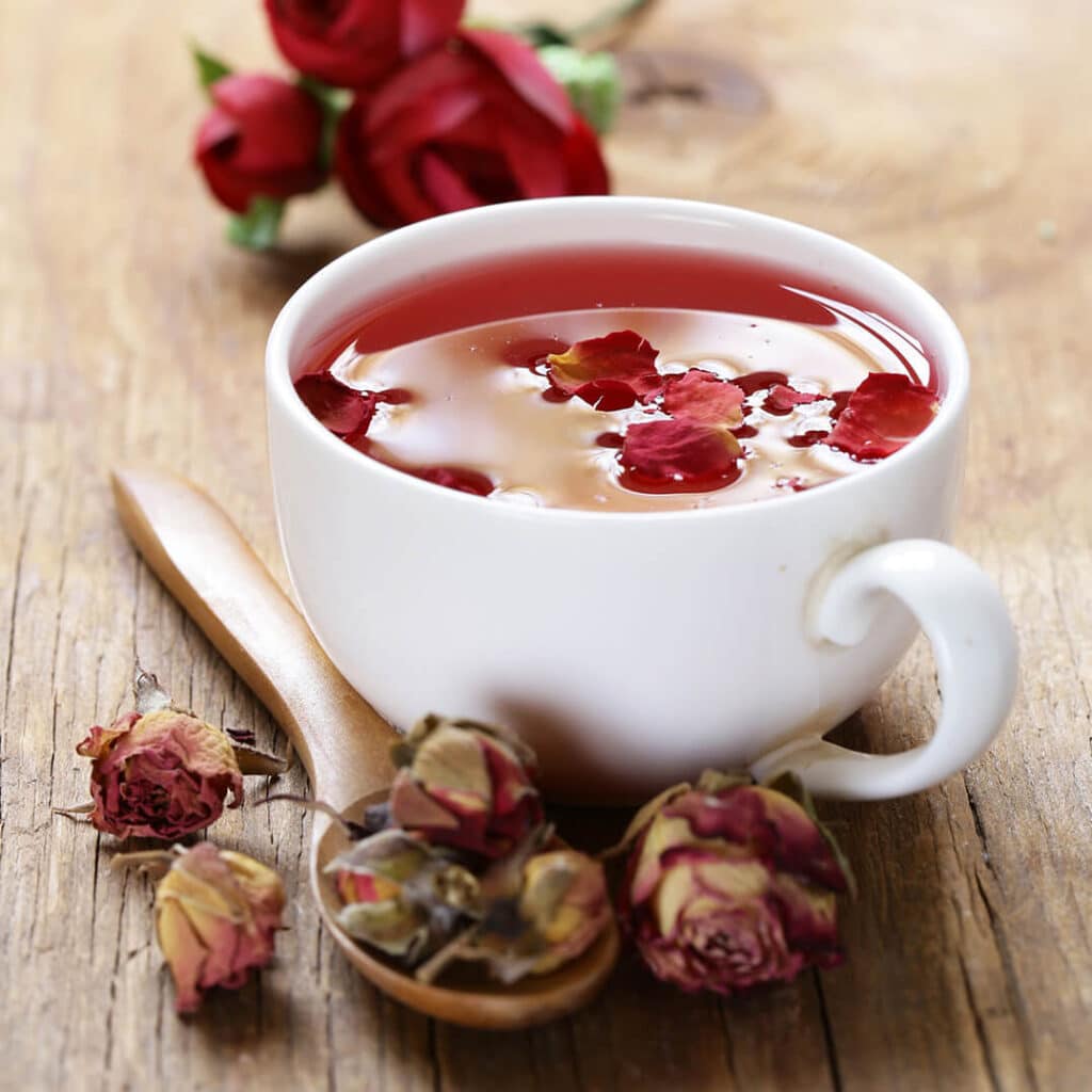red flower tea PEGW4JH