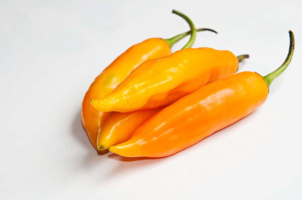 aji amarillo historia