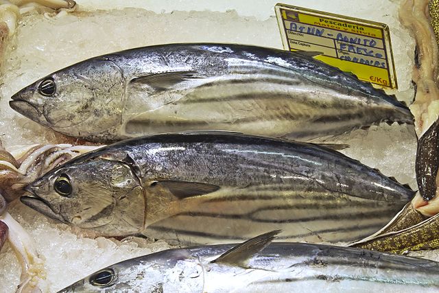 atun pez alimento foods superalimentos peruanos