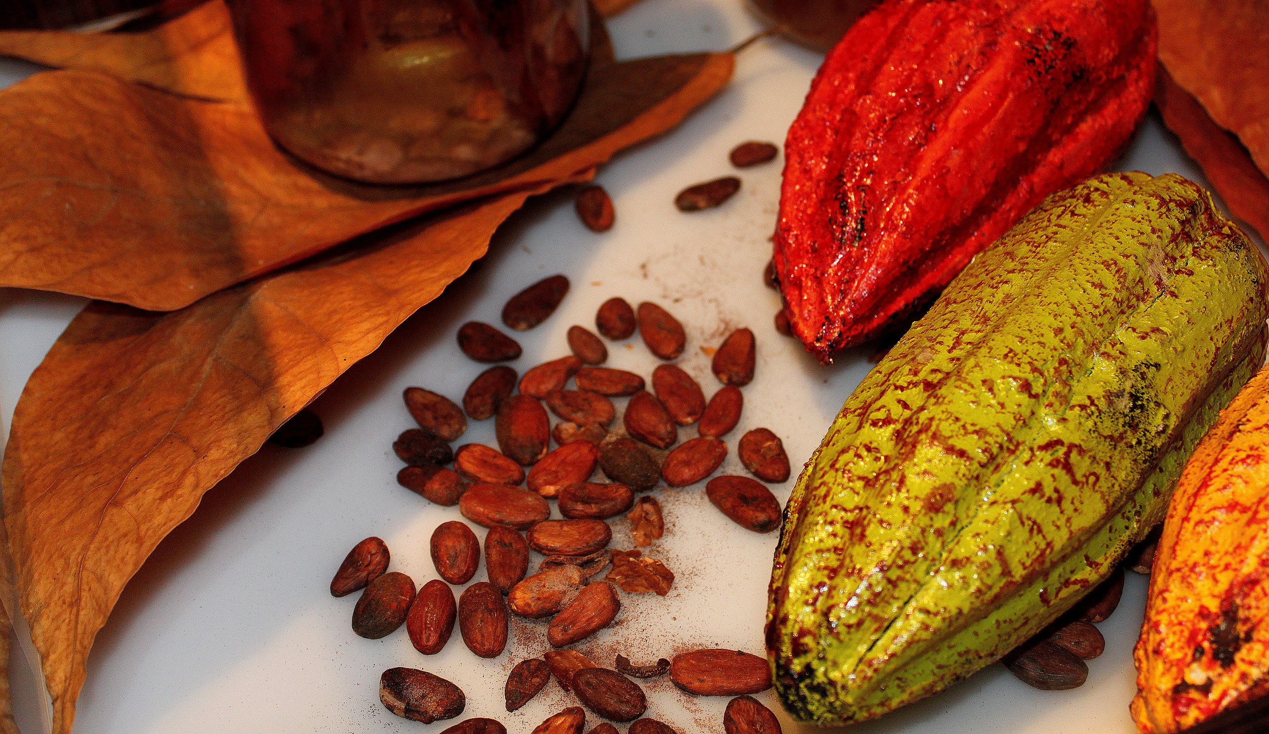 cacao fondo alimento foods superalimentos peruanos