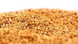 Superfoods - Cereals from Peru 3 canigua alimento foods superalimentos peruanos