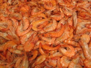 Superfoods - Fish and Seafood from Peru 5 langostinos portada foods superalimentos peruanos