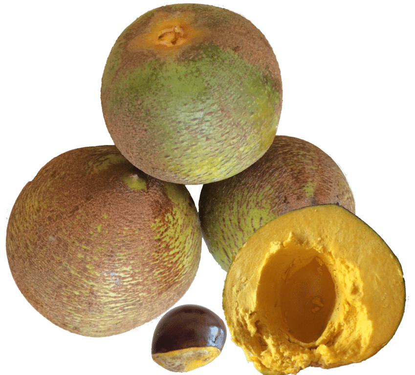 lucuma alimento foods superalimentos peruanos