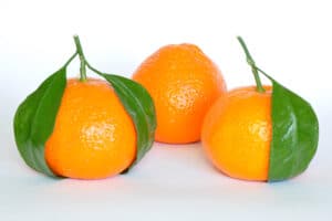 Superfoods - Fruits from Peru 9 mandarina planta foods superalimentos peruanos