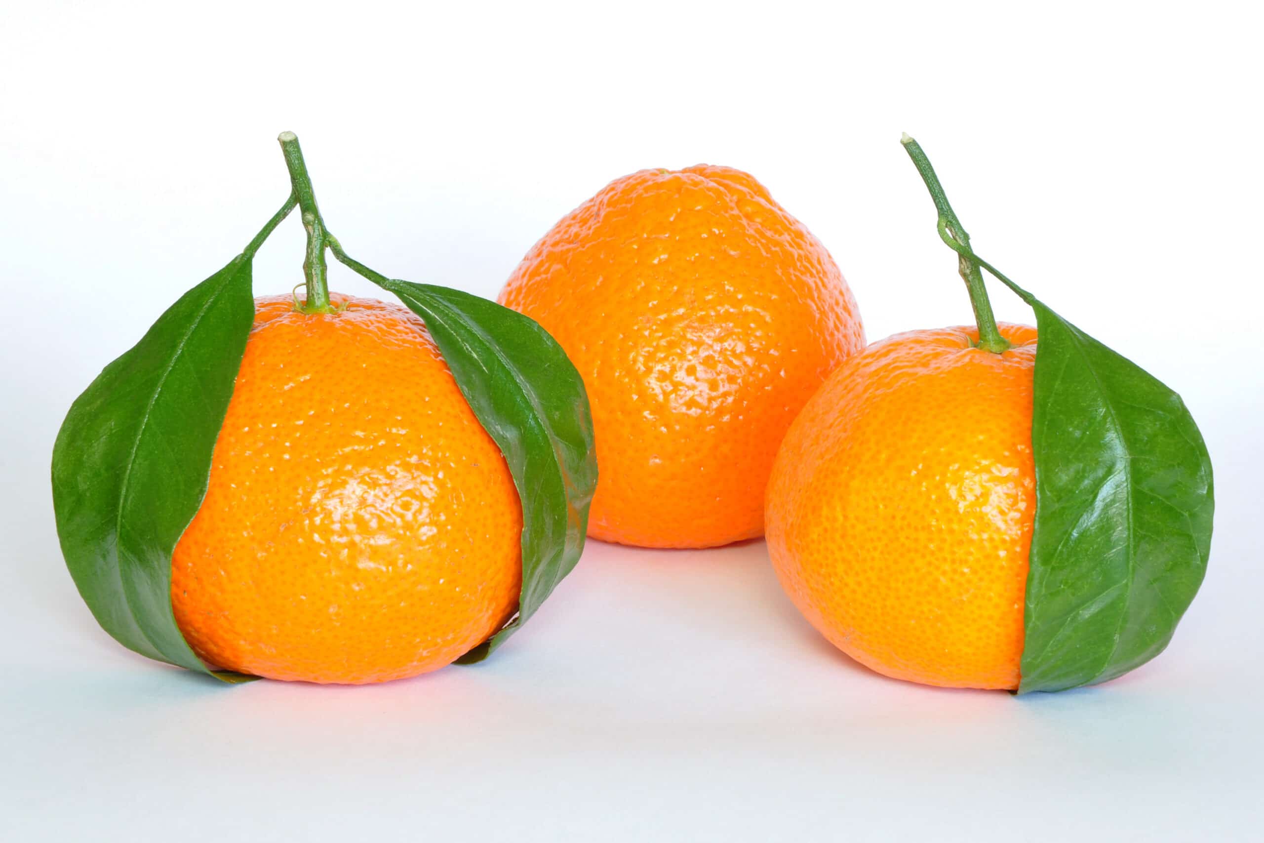 mandarina planta foods superalimentos peruanos scaled
