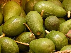 Superfoods - Fruits from Peru 11 palta frutas super alimentos del peru