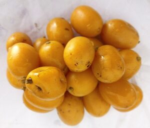 Superfoods - Fruits from Peru 12 taperiba fruta portada foods superalimentos peruanos